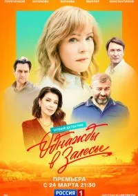 Однажды в Залесье (2024)